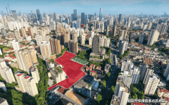 让您用专业目光去